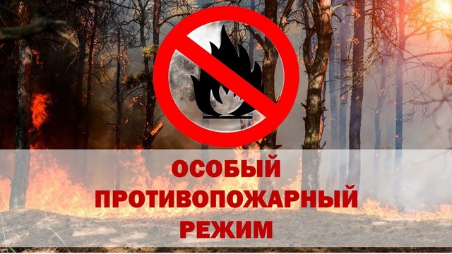 Об установлении особого противопожарного режима с 28 апреля по 20 октября 2024